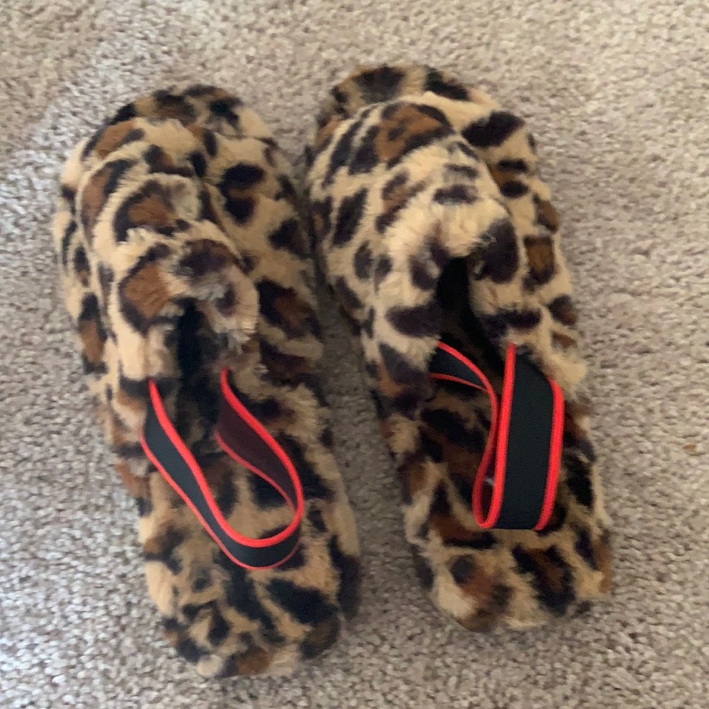 Cheetah slides